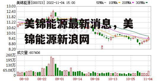 美锦能源最新消息，美锦能源新浪网