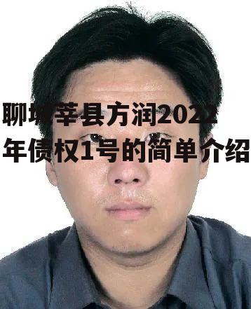 聊城莘县方润2022年债权1号的简单介绍