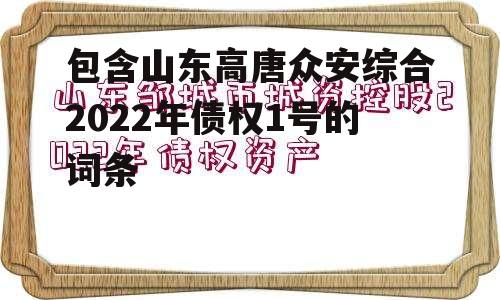 包含山东高唐众安综合2022年债权1号的词条