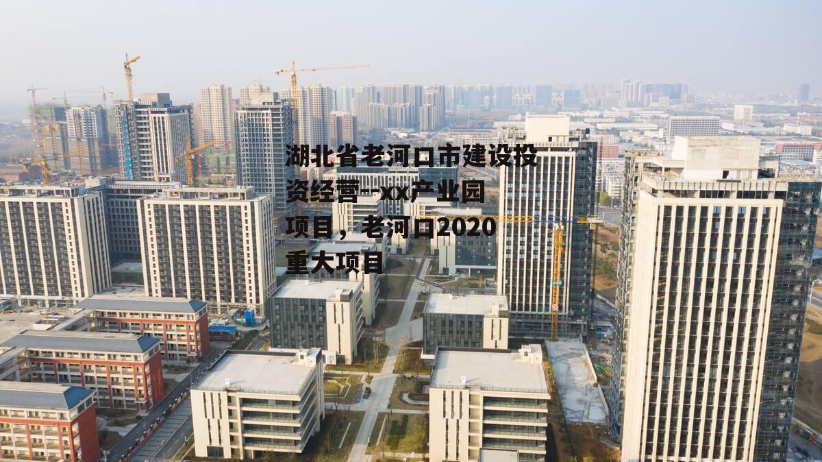 湖北省老河口市建设投资经营--xx产业园项目，老河口2020重大项目