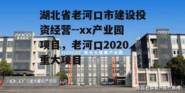 湖北省老河口市建设投资经营--xx产业园项目，老河口2020重大项目