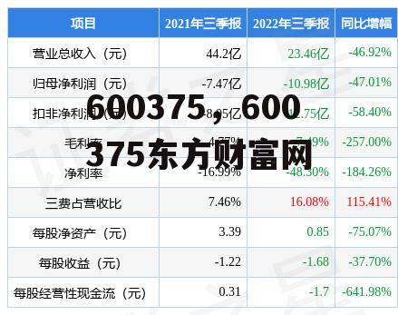 600375，600375东方财富网