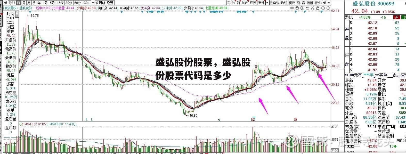 盛弘股份股票，盛弘股份股票代码是多少