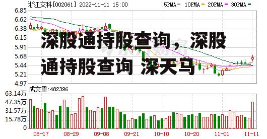 深股通持股查询，深股通持股查询 深天马