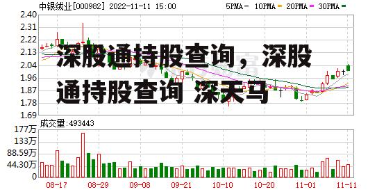 深股通持股查询，深股通持股查询 深天马