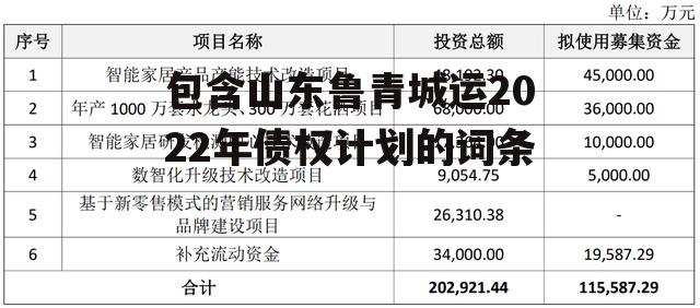 包含山东鲁青城运2022年债权计划的词条