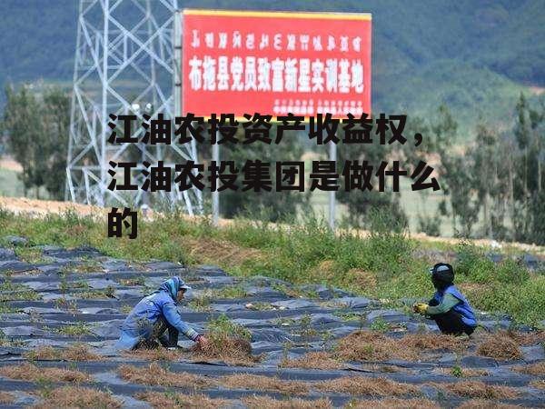 江油农投资产收益权，江油农投集团是做什么的