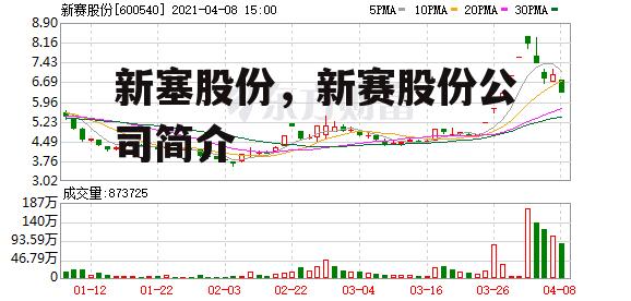 新塞股份，新赛股份公司简介