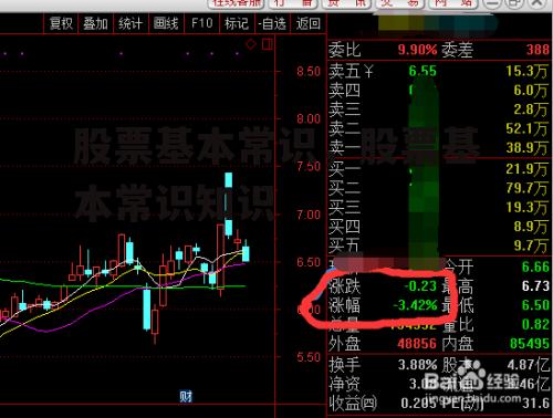 股票基本常识，股票基本常识知识