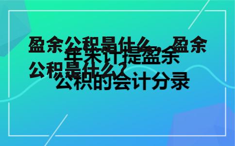 盈余公积是什么，盈余公积是什么?