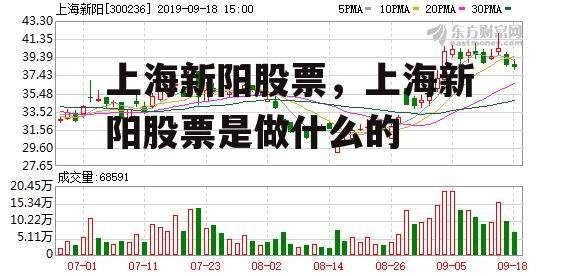 上海新阳股票，上海新阳股票是做什么的