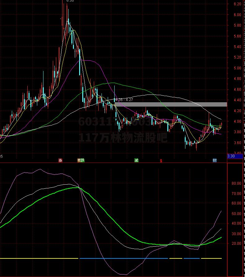 603117，603117万林物流股吧