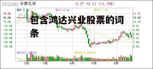 包含鸿达兴业股票的词条