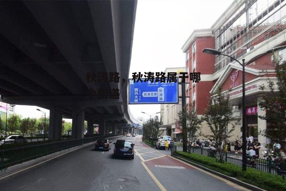 秋涛路，秋涛路属于哪个街道