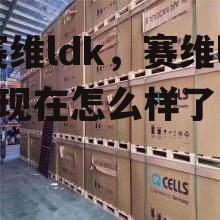 赛维ldk，赛维ldk现在怎么样了