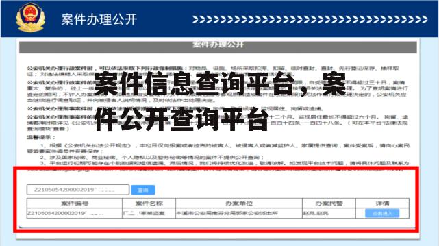 案件信息查询平台，案件公开查询平台