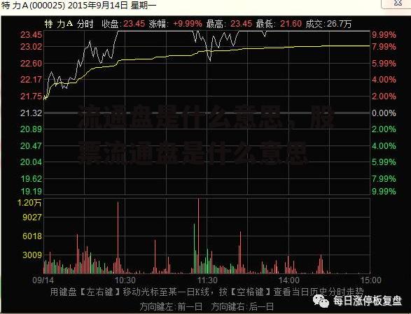 流通盘是什么意思，股票流通盘是什么意思