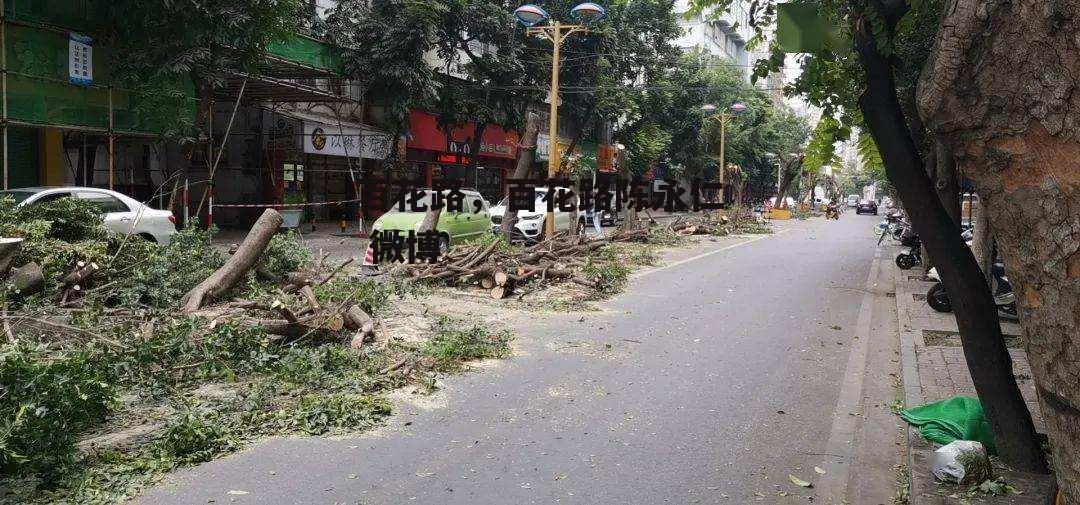 百花路，百花路陈永仁 微博