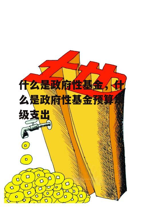 什么是政府性基金，什么是政府性基金预算本级支出