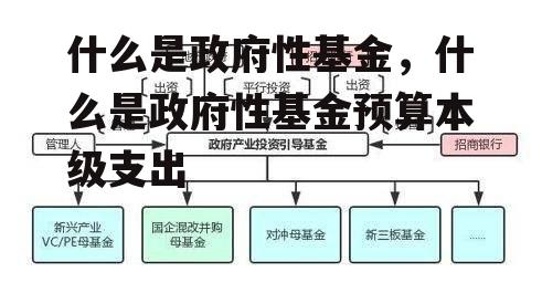 什么是政府性基金，什么是政府性基金预算本级支出