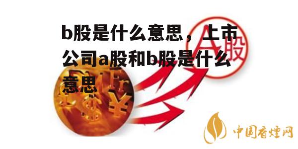 b股是什么意思，上市公司a股和b股是什么意思