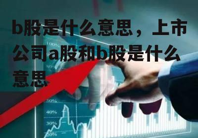 b股是什么意思，上市公司a股和b股是什么意思