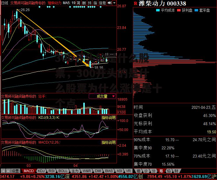 300开头的是什么股票，300开头的是什么股票为什么涨停是十个点