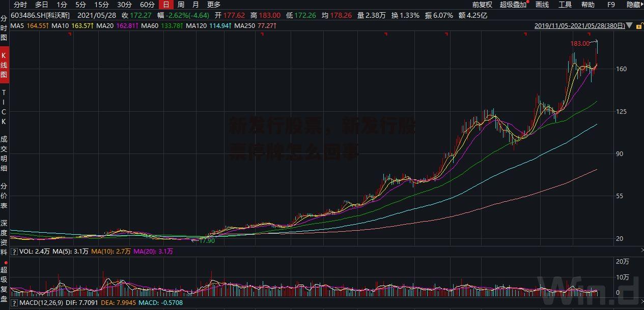 新发行股票，新发行股票停牌怎么回事