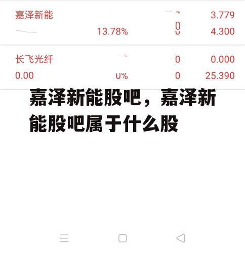 嘉泽新能股吧，嘉泽新能股吧属于什么股