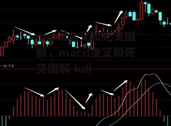 macd金叉和死叉图解，macd金叉和死叉图解 kdj