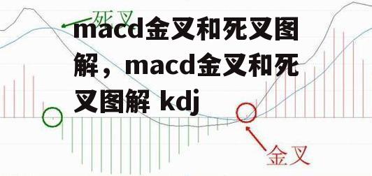 macd金叉和死叉图解，macd金叉和死叉图解 kdj