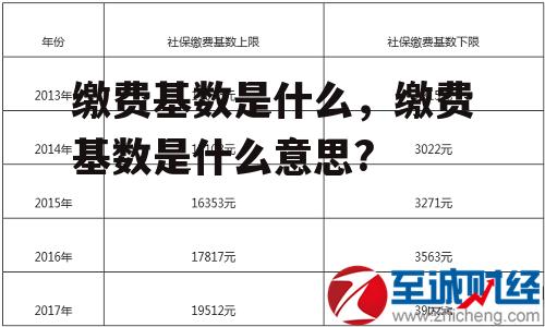 缴费基数是什么，缴费基数是什么意思?