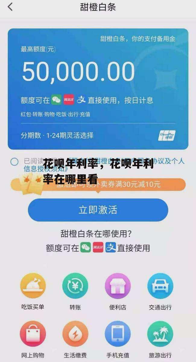 花呗年利率，花呗年利率在哪里看