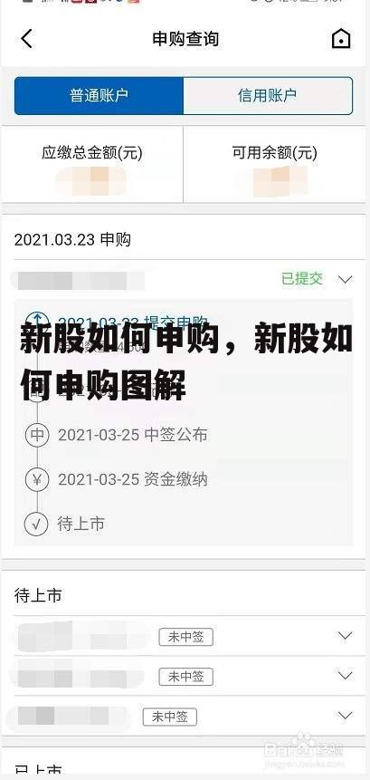 新股如何申购，新股如何申购图解