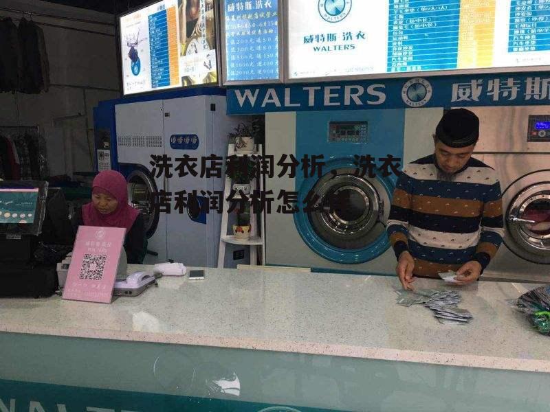 洗衣店利润分析，洗衣店利润分析怎么样