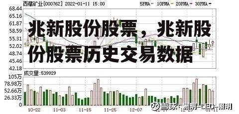 兆新股份股票，兆新股份股票历史交易数据