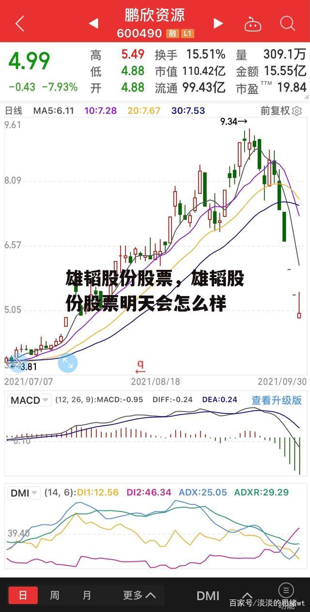 雄韬股份股票，雄韬股份股票明天会怎么样