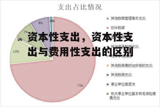 资本性支出，资本性支出与费用性支出的区别