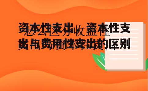 资本性支出，资本性支出与费用性支出的区别