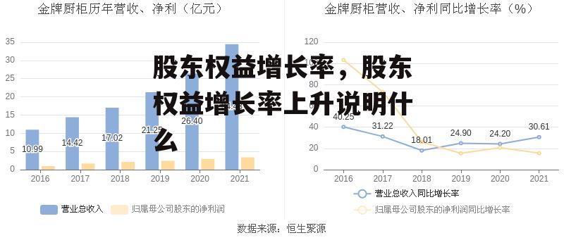 股东权益增长率，股东权益增长率上升说明什么