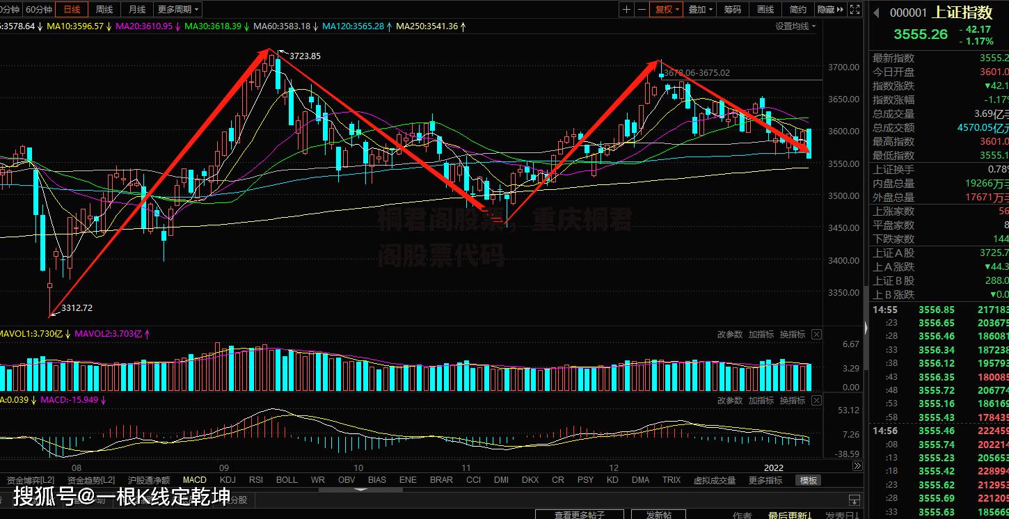 桐君阁股票，重庆桐君阁股票代码