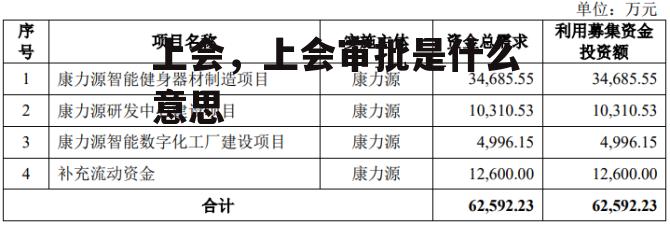 上会，上会审批是什么意思