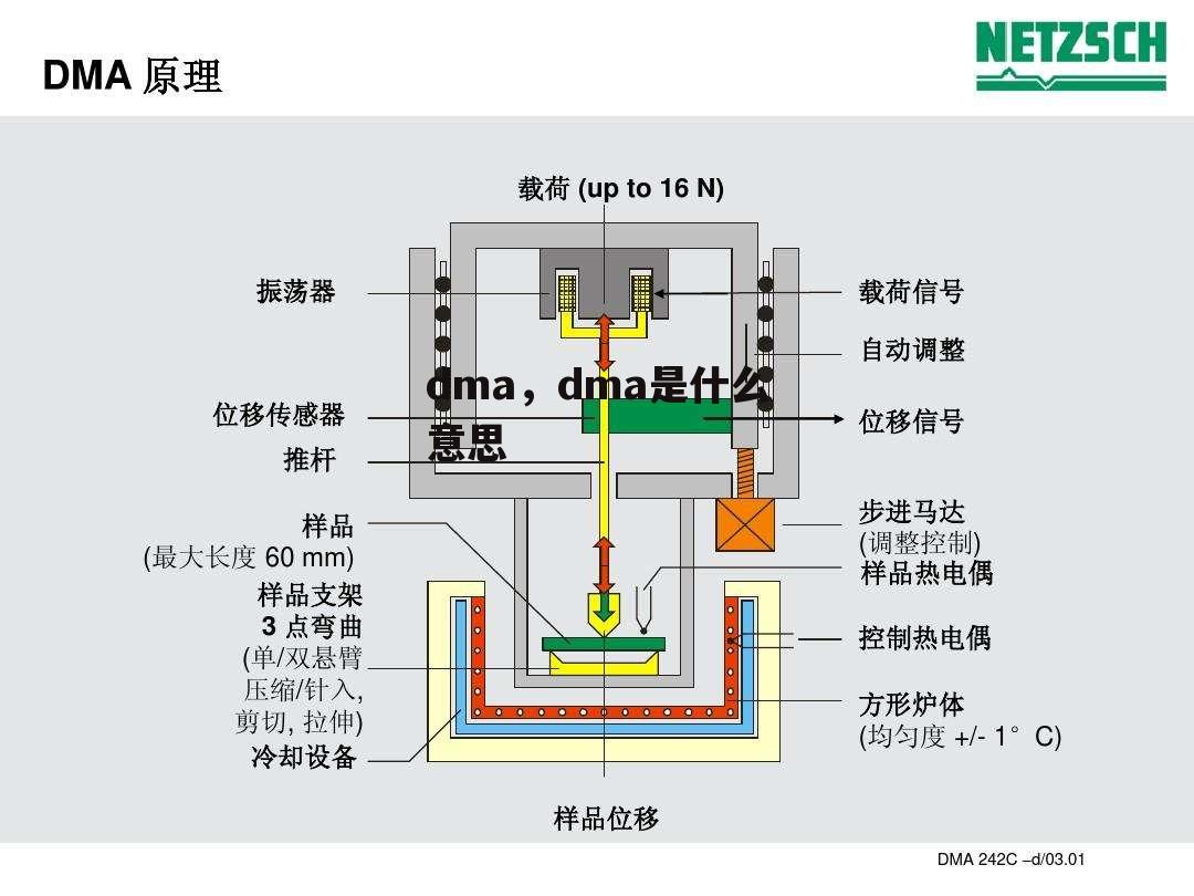 dma，dma是什么意思