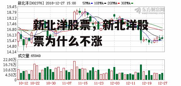 新北洋股票，新北洋股票为什么不涨