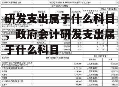 研发支出属于什么科目，政府会计研发支出属于什么科目