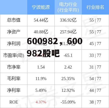 600982，600982股吧