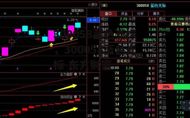 300058蓝色光标，300058蓝色光标 东方财富