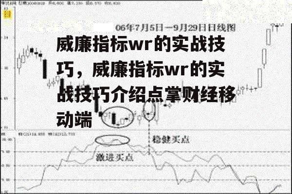 威廉指标wr的实战技巧，威廉指标wr的实战技巧介绍点掌财经移动端