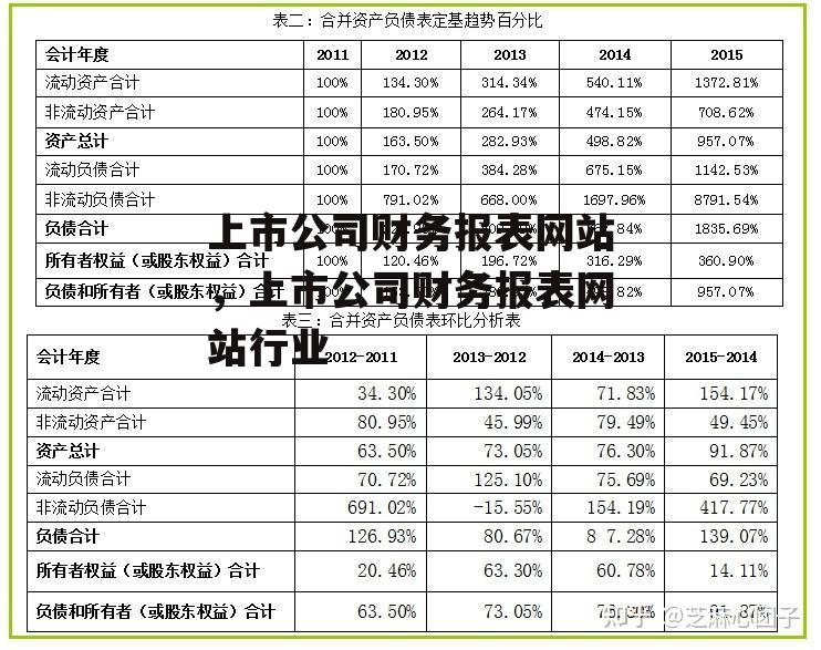 上市公司财务报表网站，上市公司财务报表网站行业