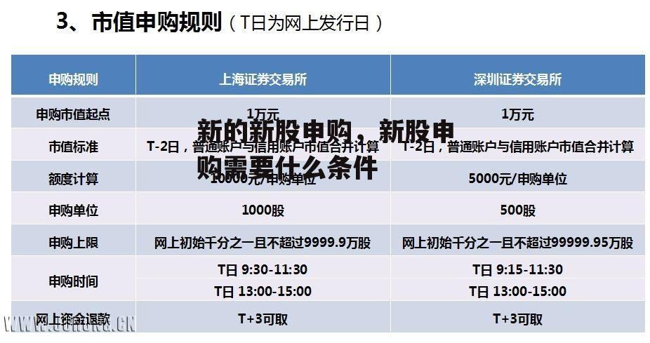 新的新股申购，新股申购需要什么条件